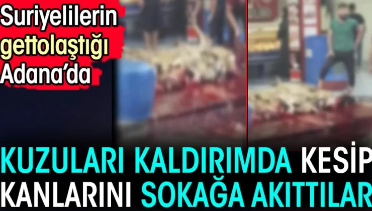 Suriyelilerin gettolaştığı Adana’da kuzuları kaldırımda kesip kanlarını sokağa akıttılar