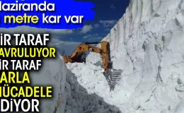 Bir taraf kavruluyor bir taraf karla mücadele ediyor! Haziranda 8 metre kar var…