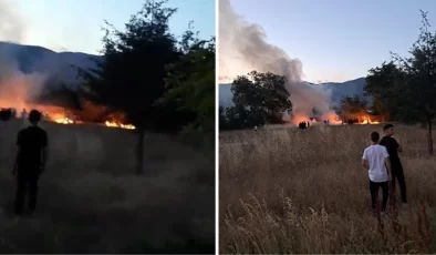 Düğünde atılan havai fişekler kuru otları tutuşturdu