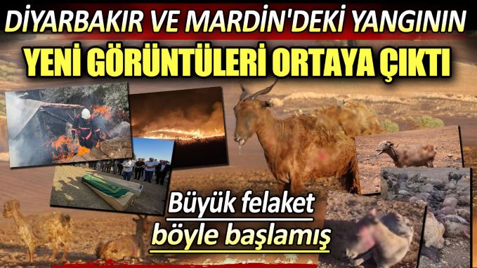 12 kişinin hayatını kaybettiği, yüzlerce hayvanın yanarak öldüğü ”Büyük Yangın felaketi” işte böyle başladı