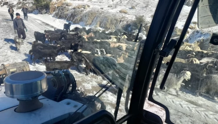 Sıcaklığı ile bilinen Adana bile böyleyse geri kalanı ne yapsın. Çobanlardan gelen haber tüyleri ürpertti. Koyunlar bile korku içindeydi