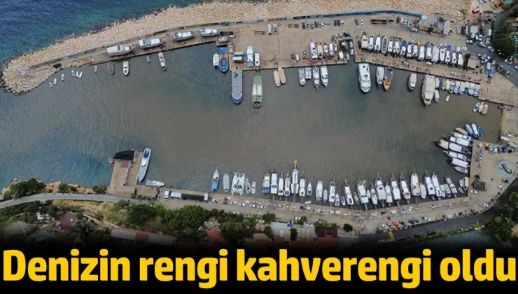 Antalya Kaş’ta denizin rengi kahverengi oldu
