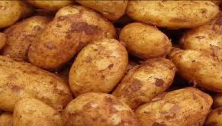 İthal sofralık patates satışları başladı. TÜK’de 26 TL Marketlerde 32 TL