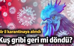 Kuş gribi, geri mi dönüyor? Afyonkarahisar’da tavuk çiftliğinde kuş gribi alarmı verildi