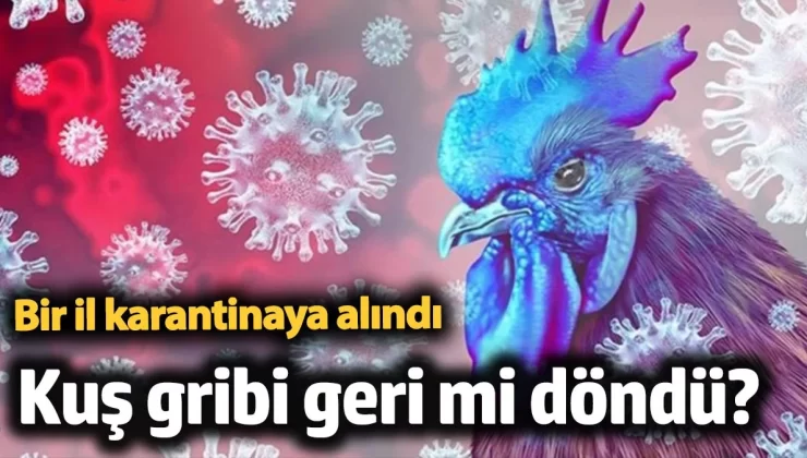 Kuş gribi, geri mi dönüyor? Afyonkarahisar’da tavuk çiftliğinde kuş gribi alarmı verildi