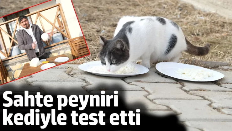 Erzincan’da sahte peyniri kediyle test etti