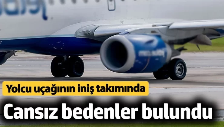 ABD’de yolcu uçağının iniş takımında 2 kişinin cansız bedeni bulundu