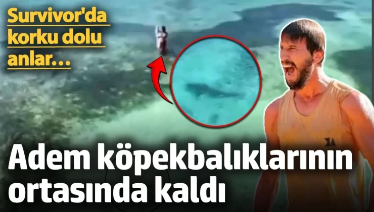 Survivor 2025’te yarışmacı Adem Kılıçcı,  köpekbalıklarının ortasında kaldı! Bu durum korku dolu anlar yaşattı