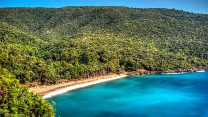Bu yaz kimse parmağını bile denize sokamayacak. Akdeniz sahilimizde büyük tehlike.