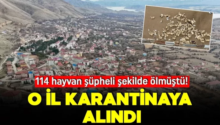 114 hayvan şüpheli şekilde ölmüştü! O il karantinaya alındı