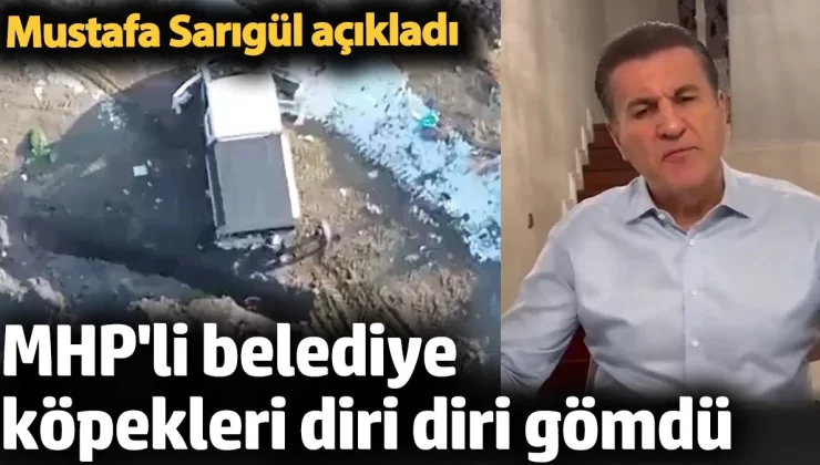 MHP’li belediye köpekleri diri diri gömdü. Mustafa Sarıgül’den açıklama