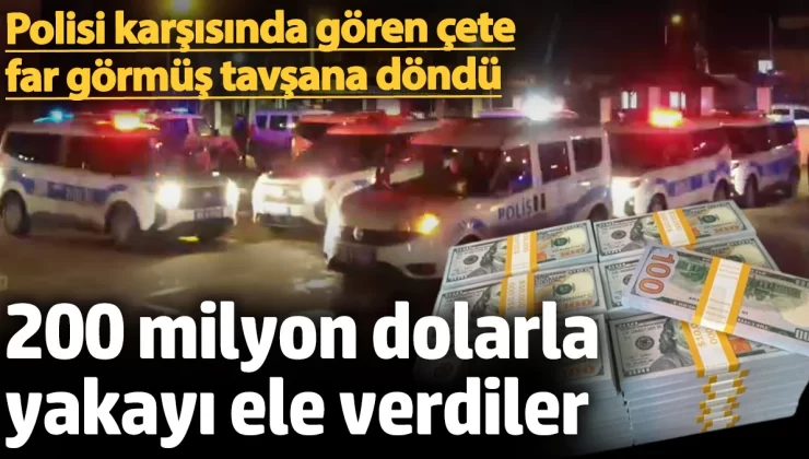 Filmleri aratmayacak takip! 200 milyon dolarla yakayı ele verdiler