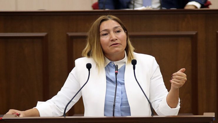 Yasemin Öztürk ”Herkesin ikinci bir hayat şansı elde etmesine önem veriyoruz. Küçük suçlardan sabıkası olanlara sicil affı getirmeyi amaçlıyoruz”