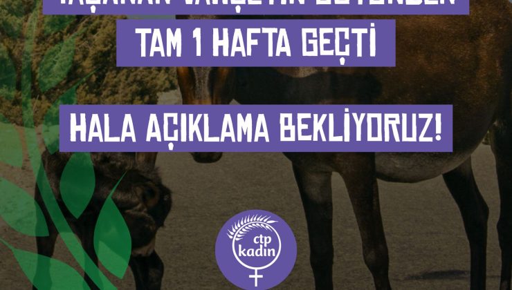 CTP Kadın Örgütü ”Yaşanan Vahşetin üstünden tam 1 hafta geçti, hala açıklama bekliyoruz!