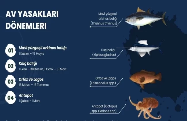 Tarım Bakanlığı, su ürünleri dönemsel av yasakları konusunda bilgilendirmede bulundu