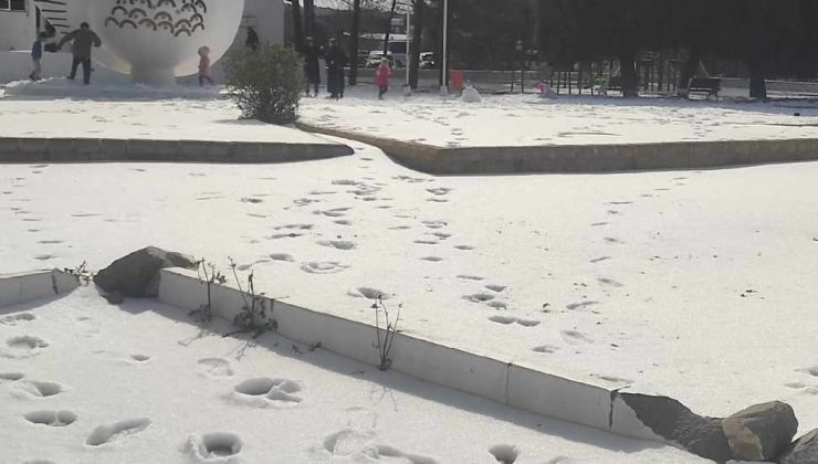 Dolu Karpaz bölgesindeki bazı köyleri fena vurdu