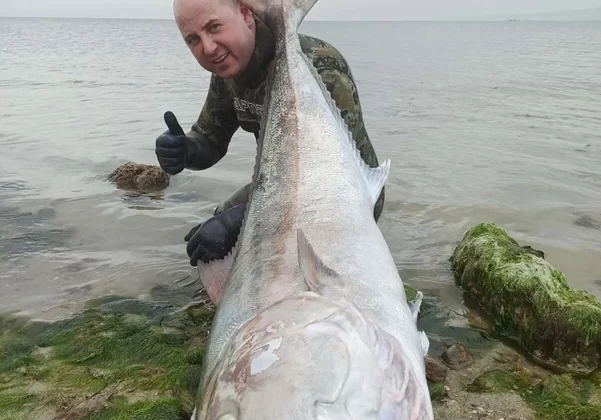 Çanakkale’de 25 metre derinlikte karşılaştığı 63 Kg. 1.8 metre uzunluğundaki balığı karaya çıkarttı