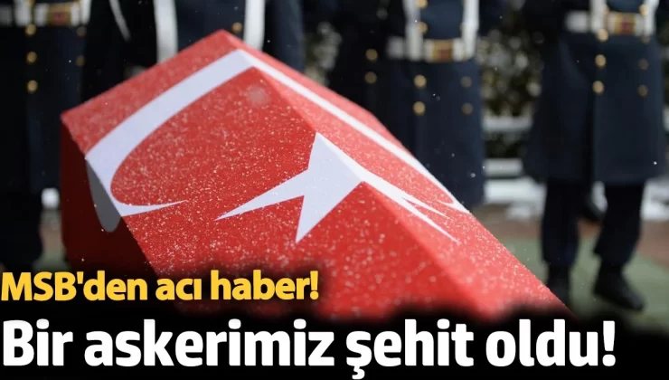 MSB’den acı haber! Bir askerimiz şehit oldu