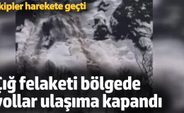 Artvin’de çığ felaketi! Yollar ulaşıma kapandı: Ekipler harekete geçti!