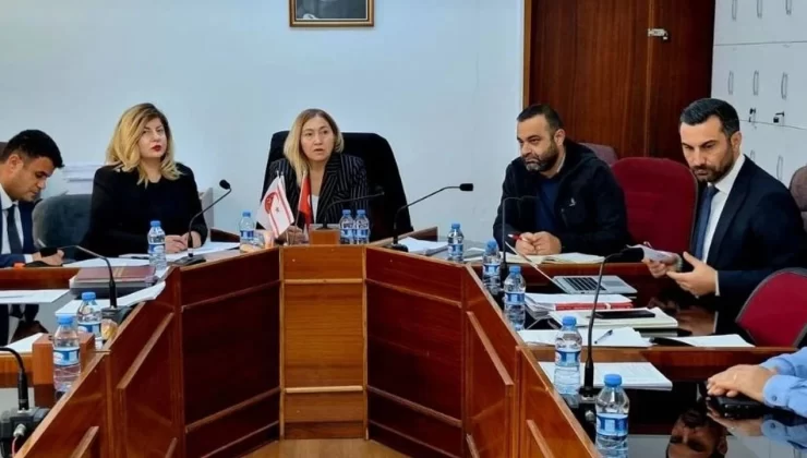 Cumhurbaşkanı adayları için aranacak olan bin 500 yurttaşın imza şartını içerecek olan yasa önerisi genel kurula taşındı