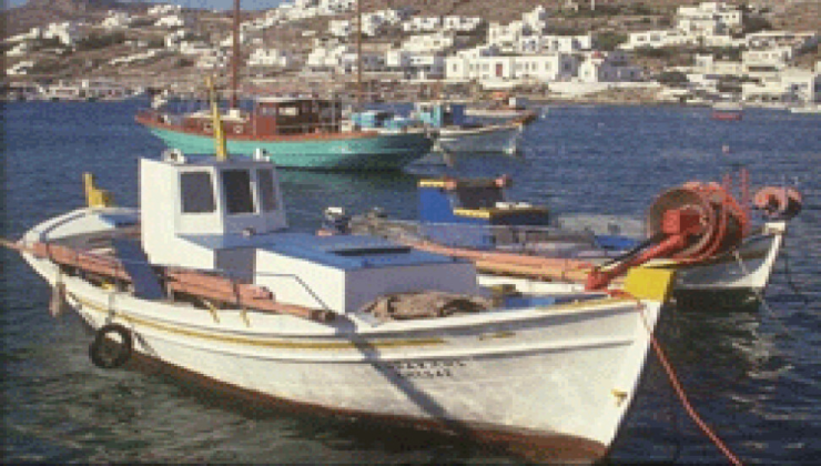 İskele balıkçı Barınağından ‘Amatör Balıkçıların ‘ Tekneleri dışarı çıkartılmak isteniyor