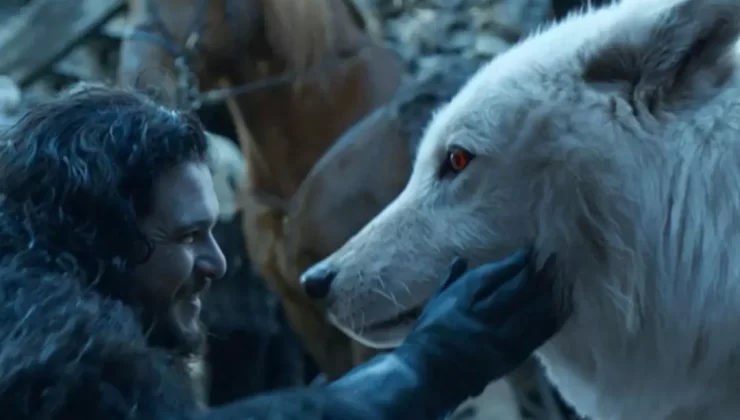 12 Bin yıl önce nesli tükenen Ulu kurtlar gen mühendisliğiyle yeniden hayata geri döndürüldü. 140 kiloya kadar çıkmadı beklenen 3 Dire Wolf’a Romulus, Remus ve Khaleesi isimleri verildi.