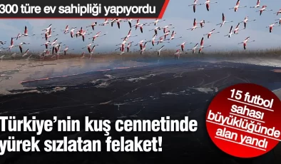Kuş cennetinde yangın felaketi! 15 futbol sahası büyüklüğünde alan yandı: 300 türe ev sahipliği yapıyordu