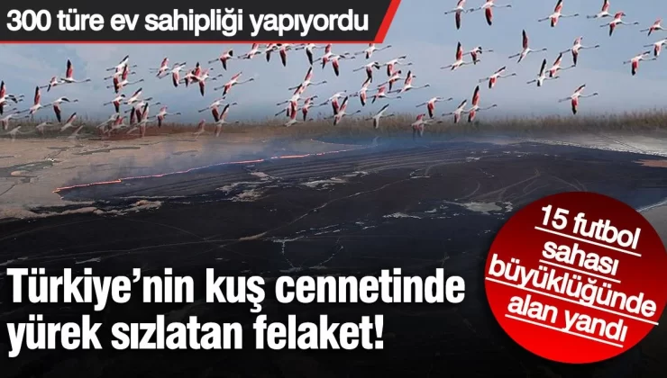 Kuş cennetinde yangın felaketi! 15 futbol sahası büyüklüğünde alan yandı: 300 türe ev sahipliği yapıyordu