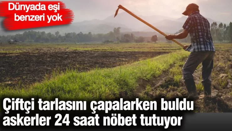 Çiftçi tarlasını çapalarken buldu, askerler 24 saat nöbet tutuyor. Dünyada eşi benzeri yok