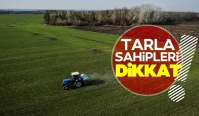 Güney’de Sayıştay, bir devlet memurunun Kıbrıslı Türk arazilerini düşük bedeller ile ailesine kiraladığını tespit etti