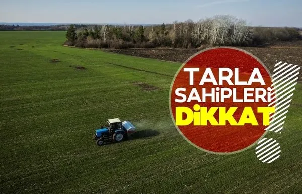 Güney’de Sayıştay, bir devlet memurunun Kıbrıslı Türk arazilerini düşük bedeller ile ailesine kiraladığını tespit etti