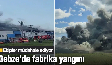 Gebze’de fabrika yangını! Ekipler müdahale ediyor