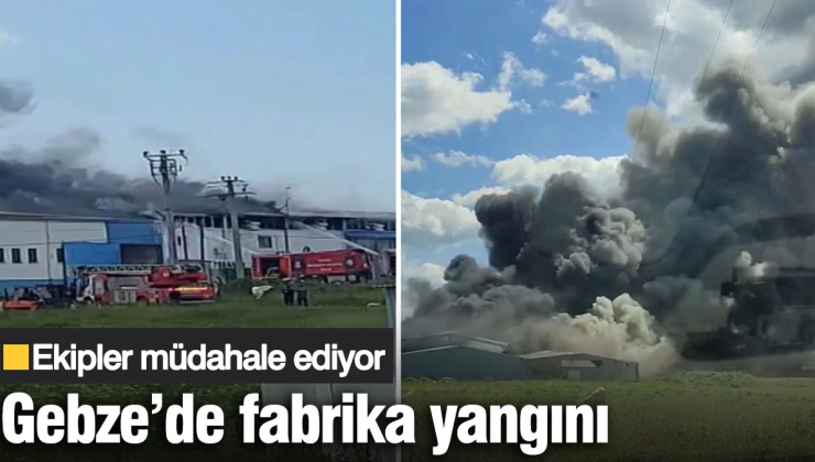 Gebze’de fabrika yangını! Ekipler müdahale ediyor