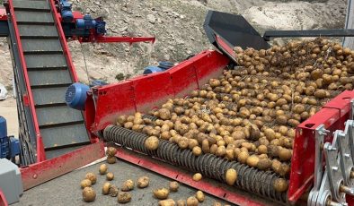 Son iki ay içerisinde gemilerle Mersin Limanına gelen patates virüslü çıktı