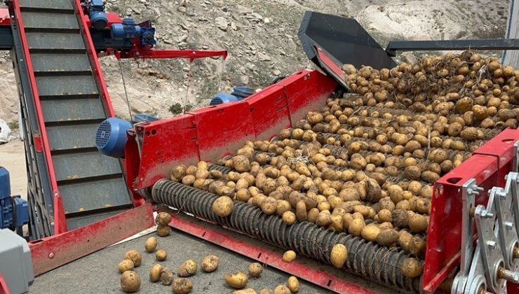 Son iki ay içerisinde gemilerle Mersin Limanına gelen patates virüslü çıktı