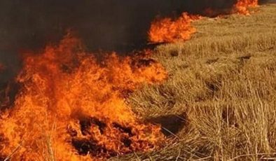 Akdoğan köyü’nde, meydana gelen yangın soncu 20 dönüm biçilmemiş arpa, 15 dönüm anız yandı