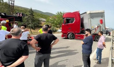 TIR sürücüsü arının sokması sonucu fenalaşıp şoka girdi! Yol kapandı, yüzlerce kişi yolda kaldı