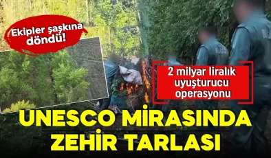 UNESCO mirasında zehir tarlası! Ekipler şaşkına döndü! 2 milyar liralık uyuşturucu operasyonu