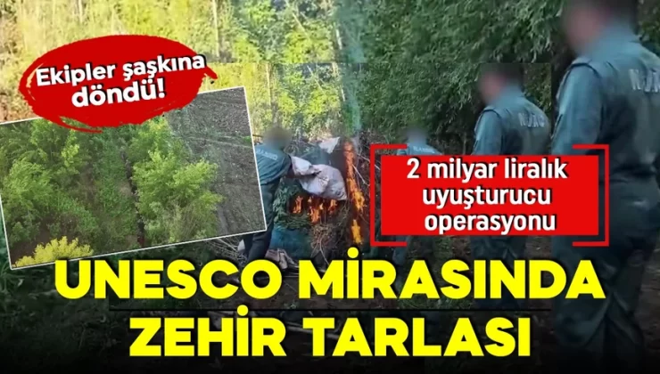 UNESCO mirasında zehir tarlası! Ekipler şaşkına döndü! 2 milyar liralık uyuşturucu operasyonu