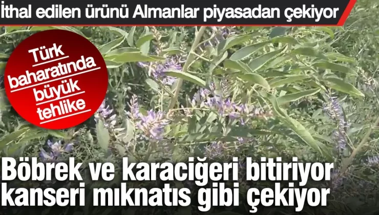 Böbrek ve karaciğeri bitiriyor kanseri mıknatıs gibi çekiyor. Türk baharatında büyük tehlike. İthal edilen ürünü Almanlar piyasadan çekiyor
