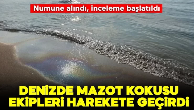 Denizde mazot kokusu ekipleri harekete geçirdi: İnceleme başlatıldı