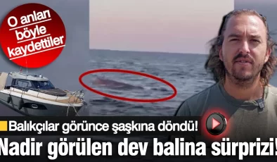 Amatör balıkçılar denizin ortasında görünce şaşkına döndü! Nadir görülen dev balina sürprizi