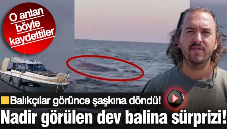 Amatör balıkçılar denizin ortasında görünce şaşkına döndü! Nadir görülen dev balina sürprizi