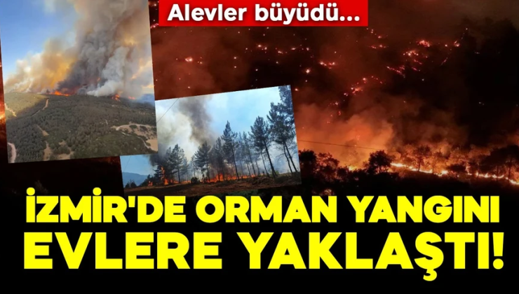 İzmir’de orman yangını! Alevler büyüdü, çok sayıda ev tahliye edildi