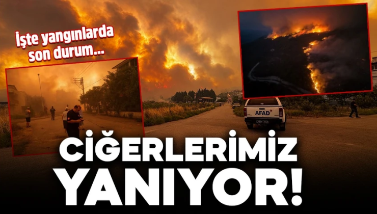 Ciğerlerimizi yakan yangınlarda son durum! Birçok noktada alevlerle mücadele ediliyor