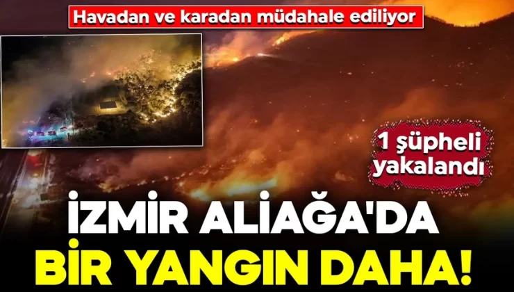 İzmir Aliağa’da bir yangın daha! Havadan ve karadan müdahale ediliyor: 1 şüpheli gözaltında