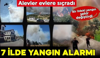 Bilecik, Bursa, İzmir, Antalya, Tekirdağ, Sakarya ve Kahramanmaraş’ta orman yangını!