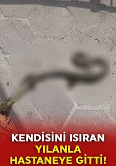 Kendisini ısıran yılanı öldürüp, onunla hastaneye gitti!