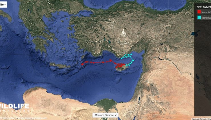 UYDU VERİCİSİ TAKILAN KUMBİ VE DISTRICT 135 AKDENİZ’İ DOLAŞMAYA BAŞLADI