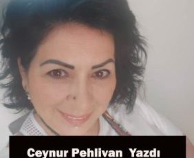 GELECEK KUŞAĞIN RENGİ NE OLACAK??